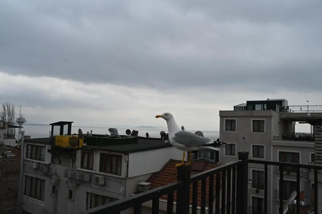 Albatros Suite Istanbul Apartment