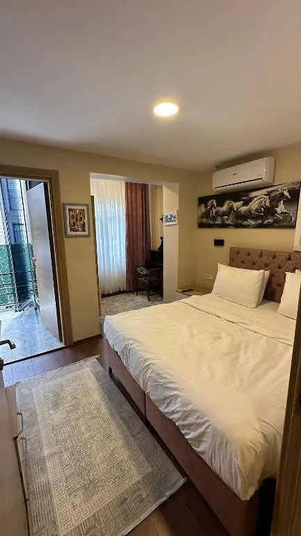 Albatros Suite Istanbul Apartment