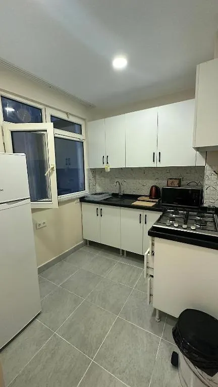 Albatros Suite Istanbul Apartment