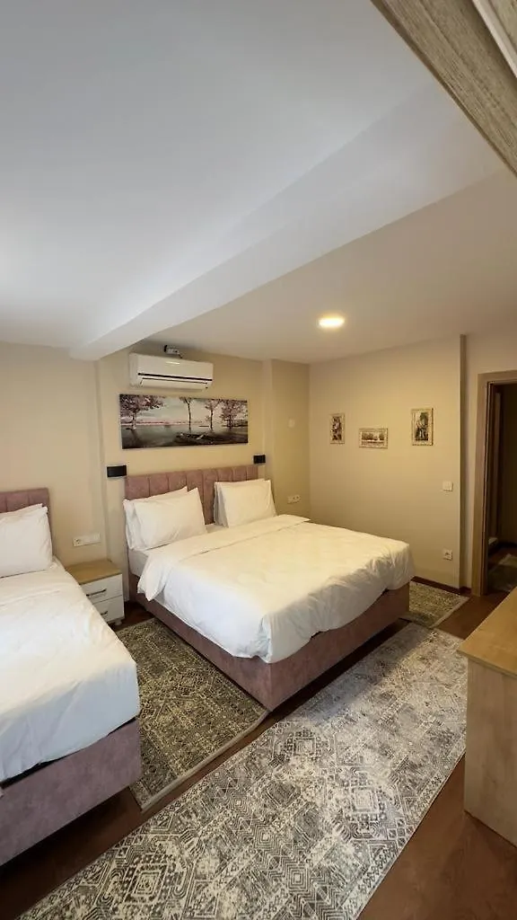 Albatros Suite Istanbul Apartment